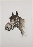 KISS GABOR