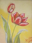 KISS GABOR